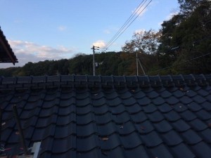 IMG1129182103.jpg